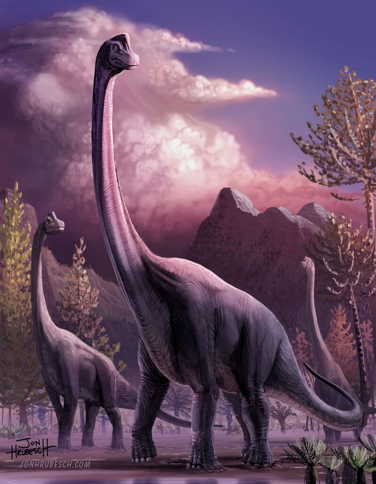 an artist's rendering of two dinosaurs in the wilderness