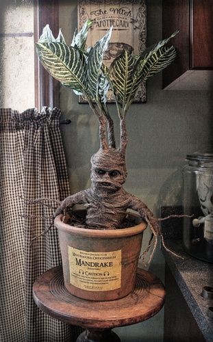 a potted plant sitting on top of a wooden stand next to a window sill