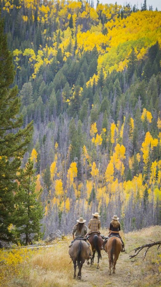 three people riding horses on a trail in the mountains with trees and yellow leaves behind them