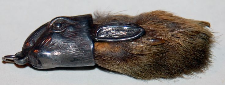 a close up of a dog's head with metal ear pieces attached to it