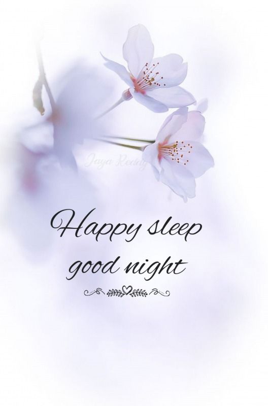 a white flower with the words happy sleep good night