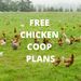 FreeChickenCoopPlans