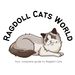 ragdollcatsworld