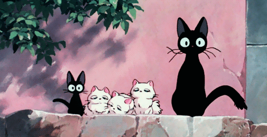 black cat with four white kittens sitting in front of a tree and rock wall