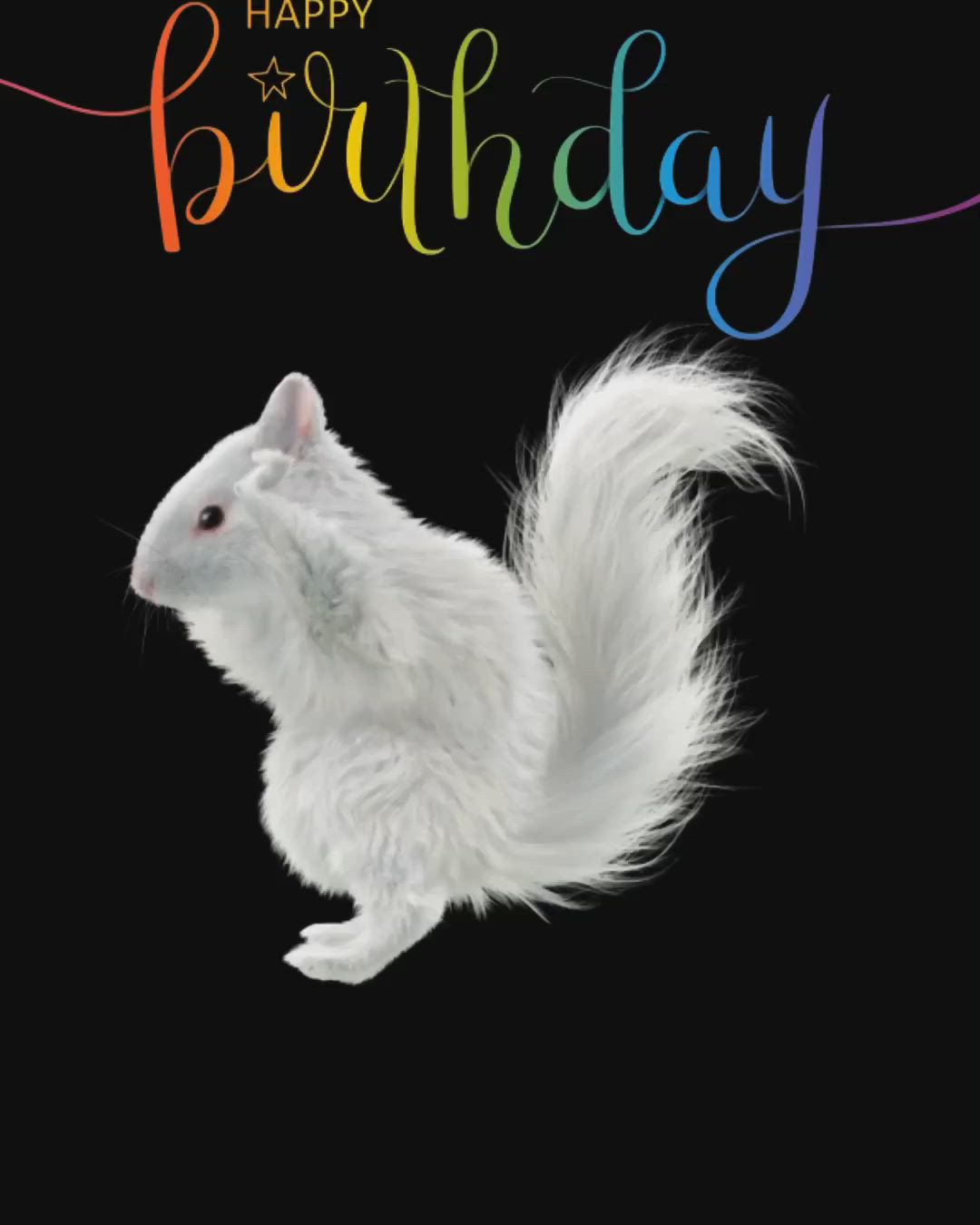 This may contain: a happy birthday card with a white squirrel