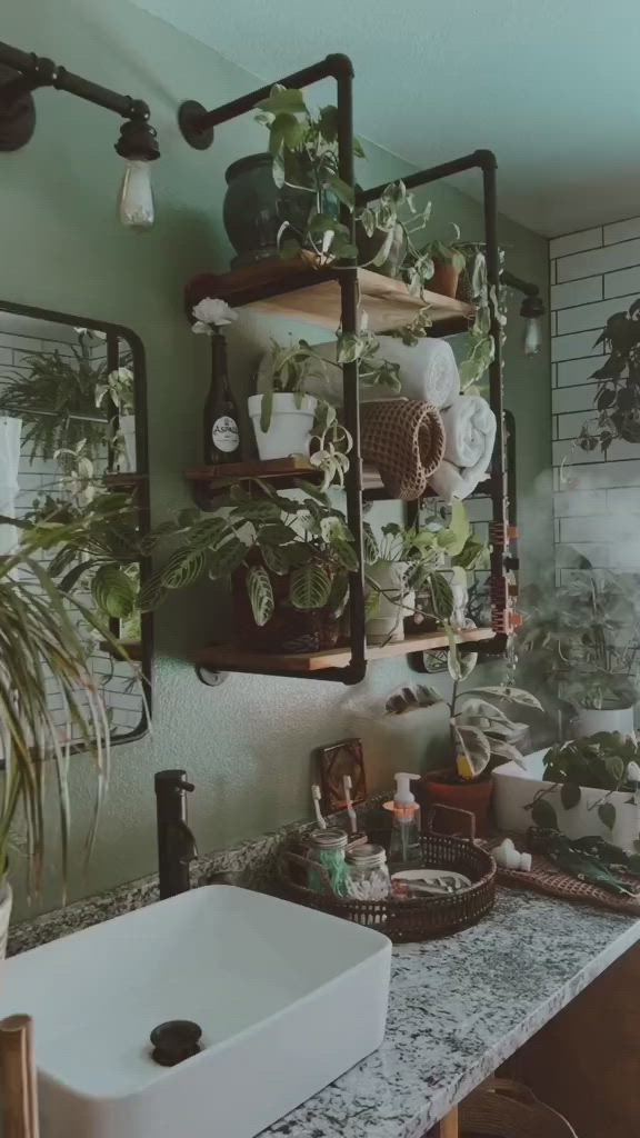 This may contain: a kitchen with plants on the shelves and a sink