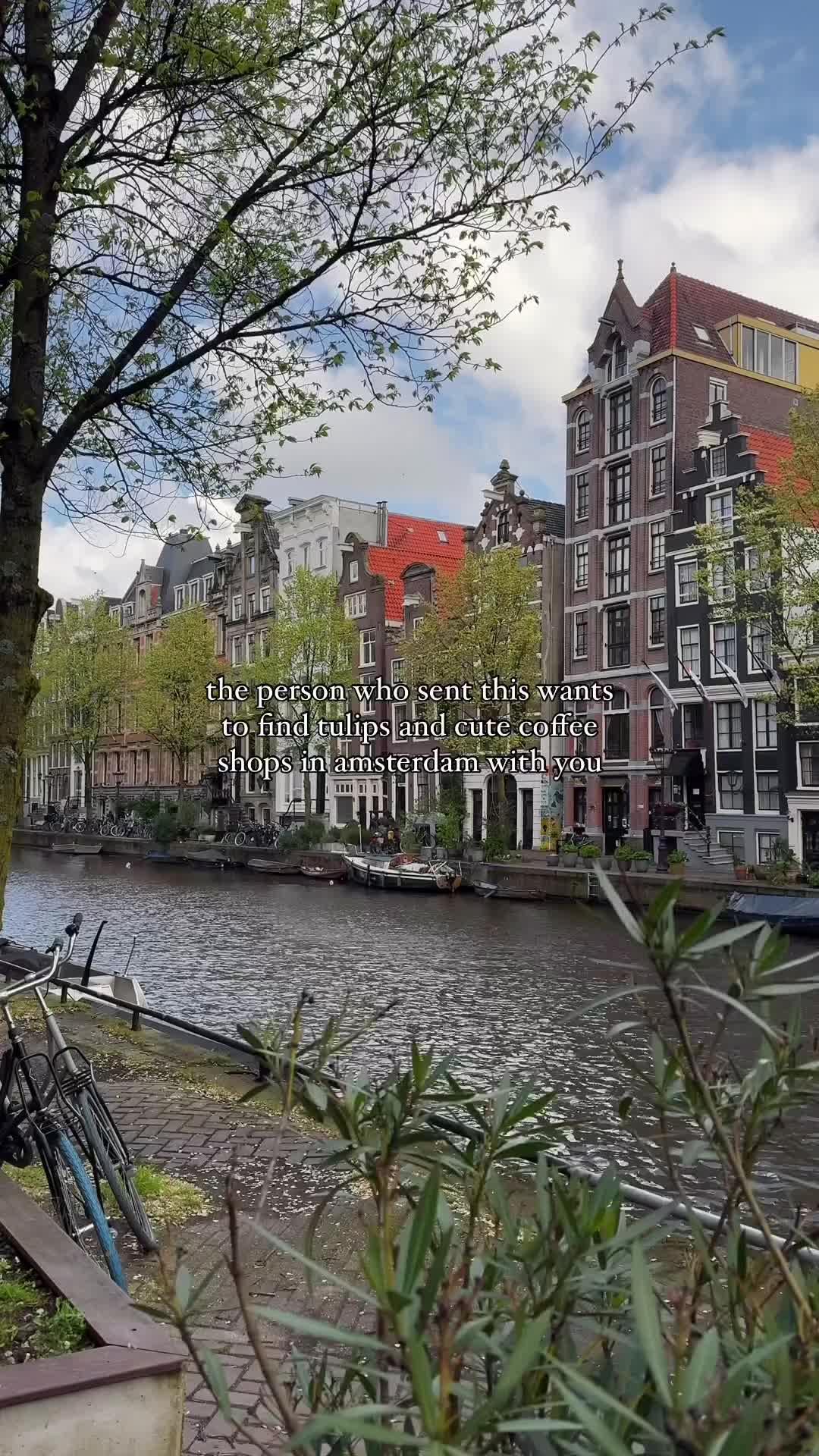 This may contain: bicycles parked on the side of a river next to tall buildings and trees in front of them