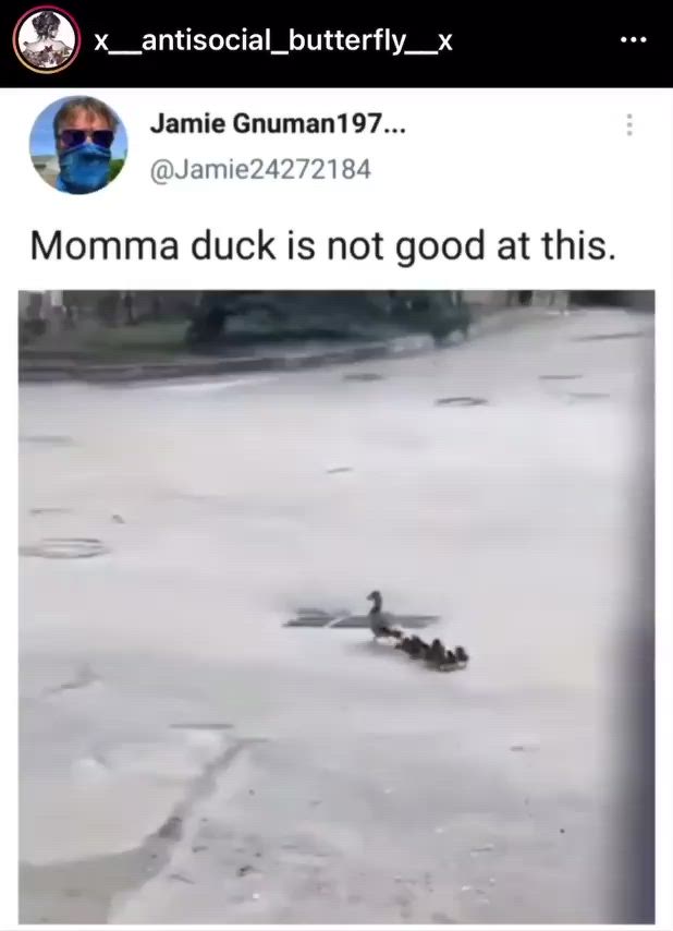 This may contain: the duck is not good at this moment