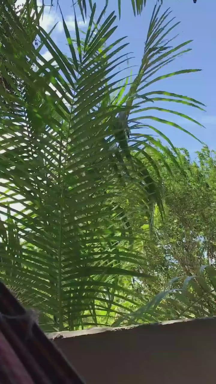 This may contain: the view from inside a house looking out at trees