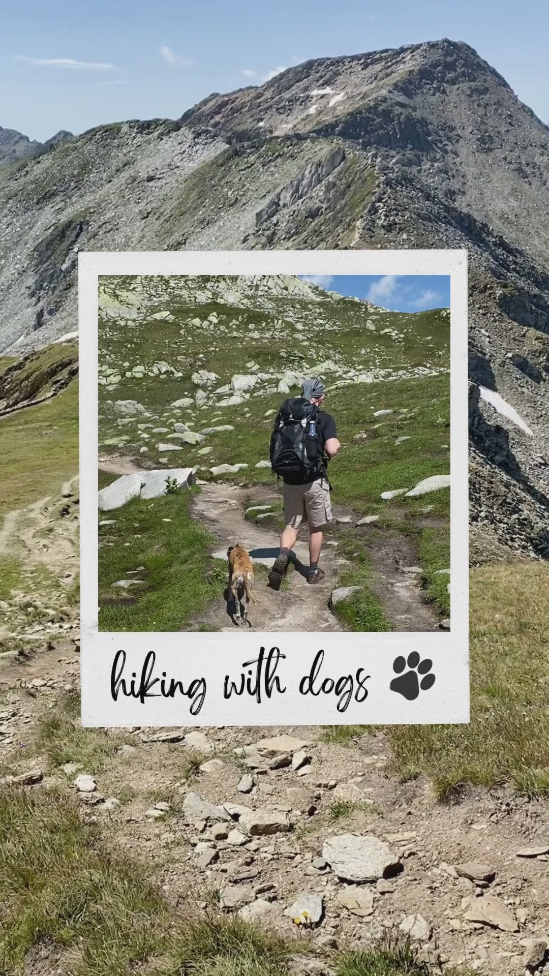 This may contain: a person hiking with a dog on a trail in the mountains, near a sign that says hiking with dogs