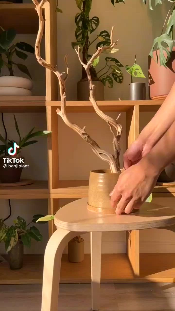 This may contain: a woman is making a potted plant out of clay on a small wooden table