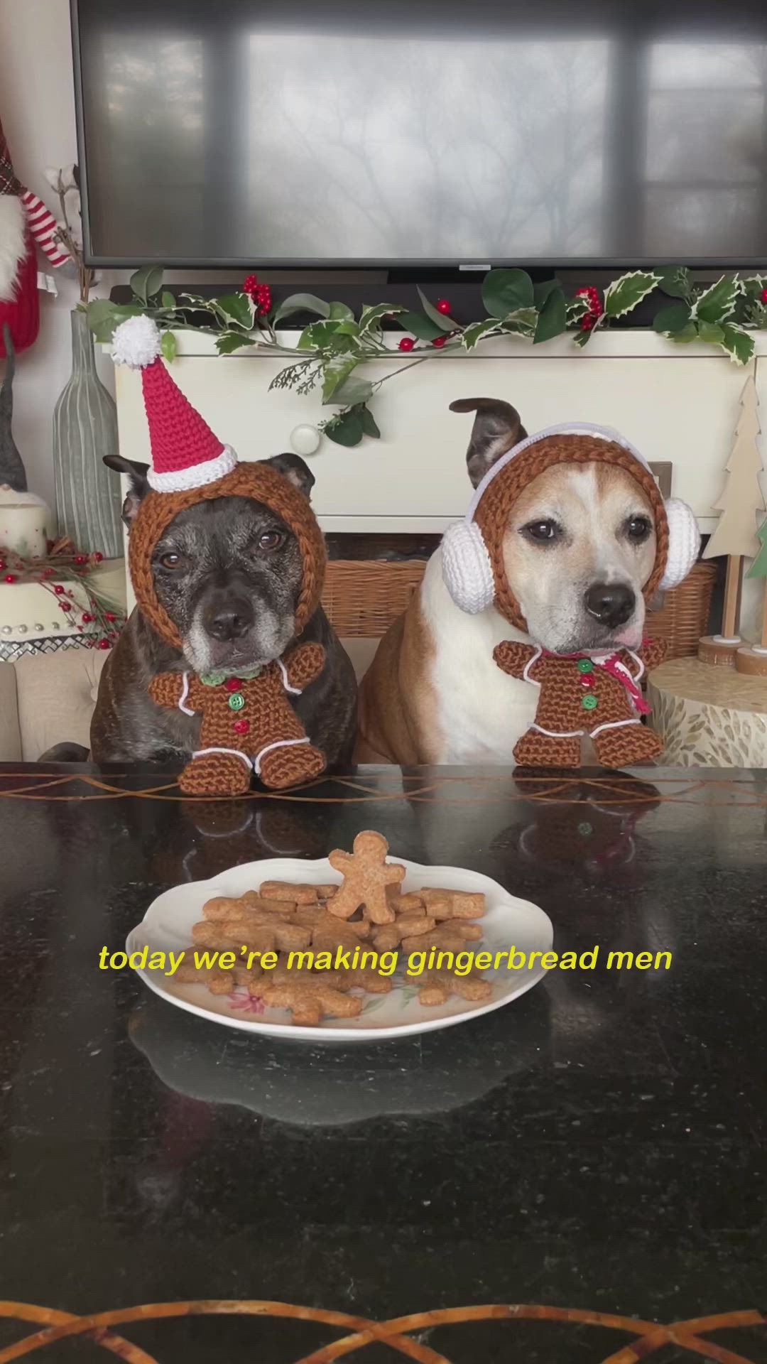 This may contain: two dogs wearing christmas outfits sitting in front of a plate of gingerbreads on a table