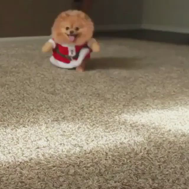 This may contain: a small teddy bear sitting on top of a carpet