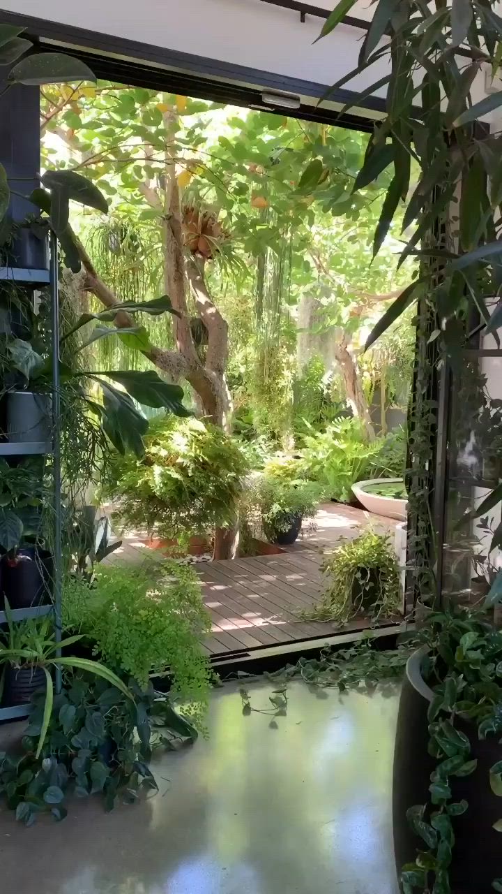 This may contain: the inside of a house with lots of plants and potted plants on the floor