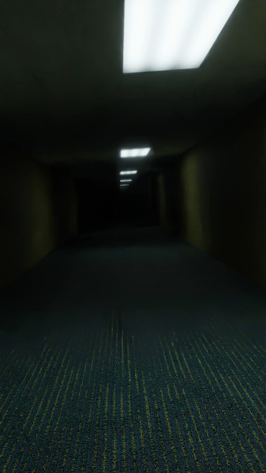 This may contain: an empty hallway with light coming in from the ceiling and carpeting on the floor