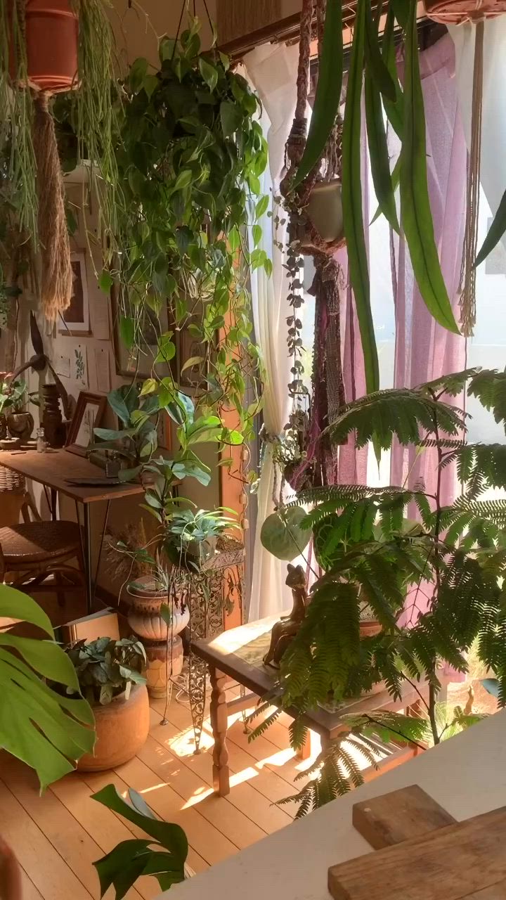 This may contain: a room filled with lots of potted plants