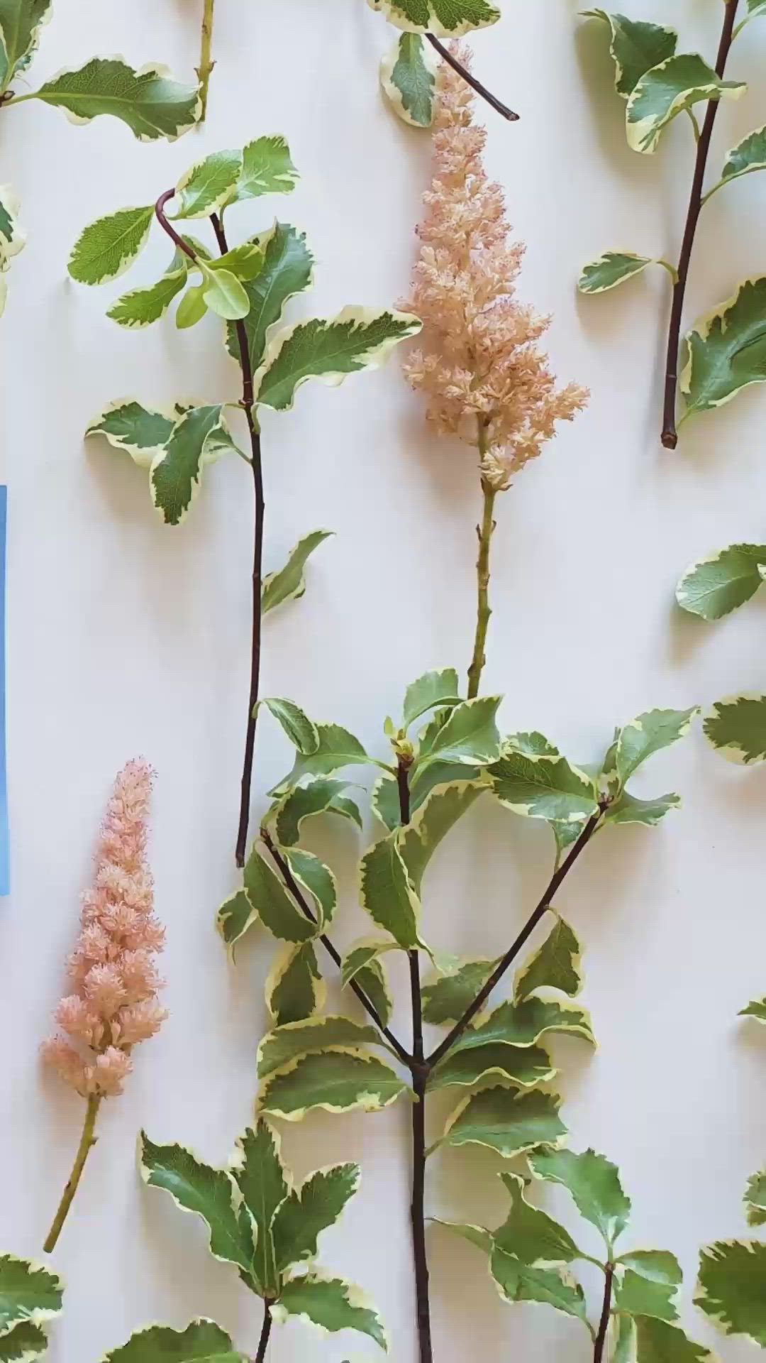 This may contain: some plants and flowers on a white background with the words faux plants and flowers