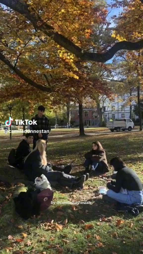 This may contain: several people sitting on the ground under a tree