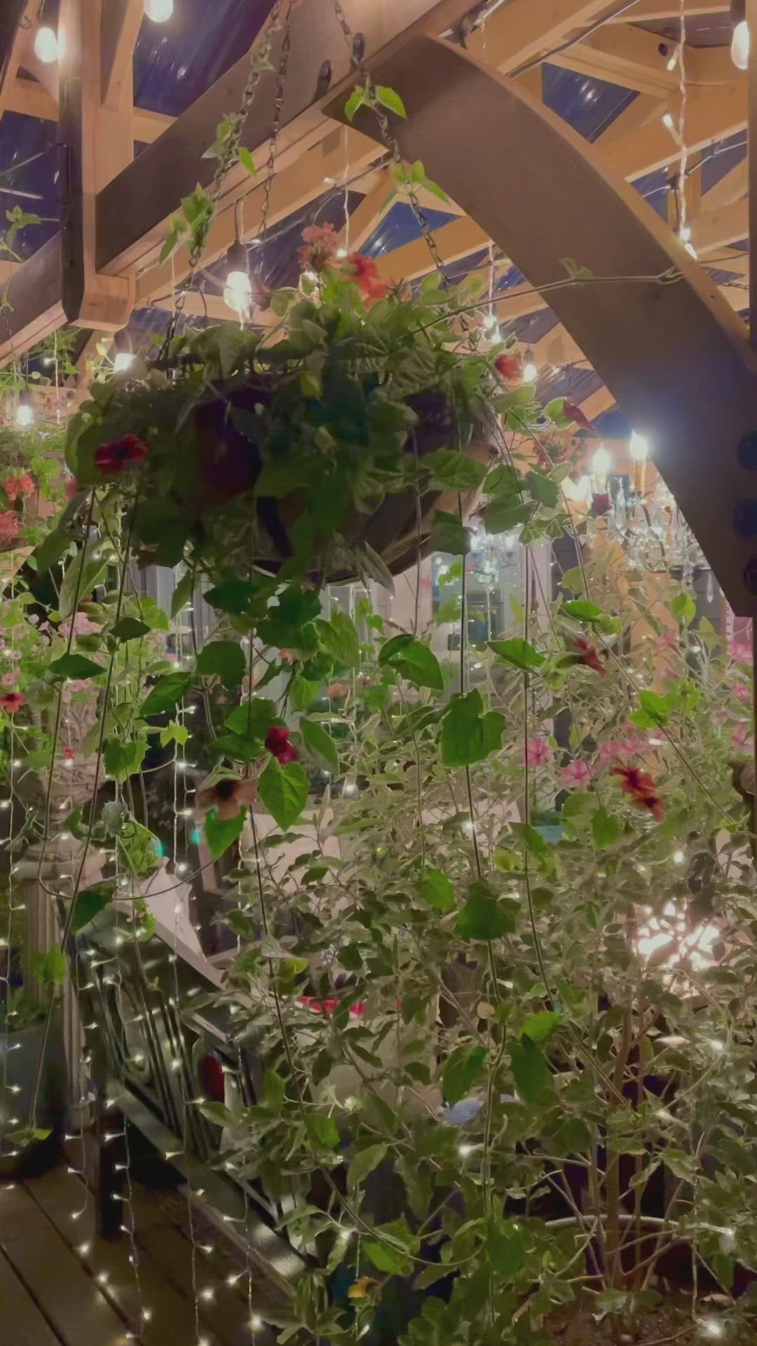 This may contain: an outdoor patio with plants and lights hanging from the ceiling