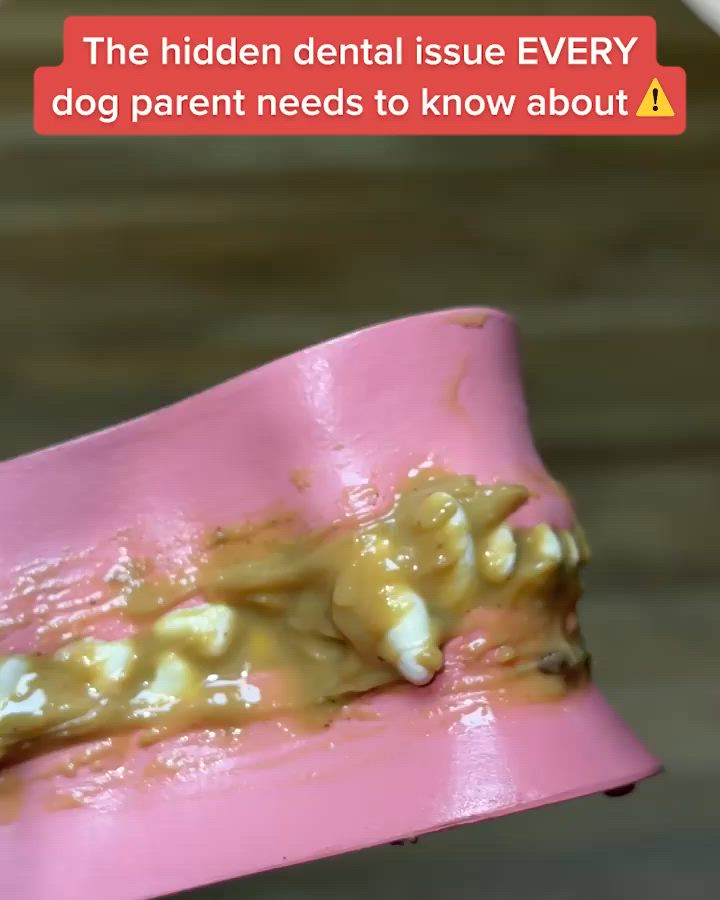 This may contain: a pink toothbrush with yellow dental paste on it's mouth and the words, the hidden dental issue every dog parent needs to know about