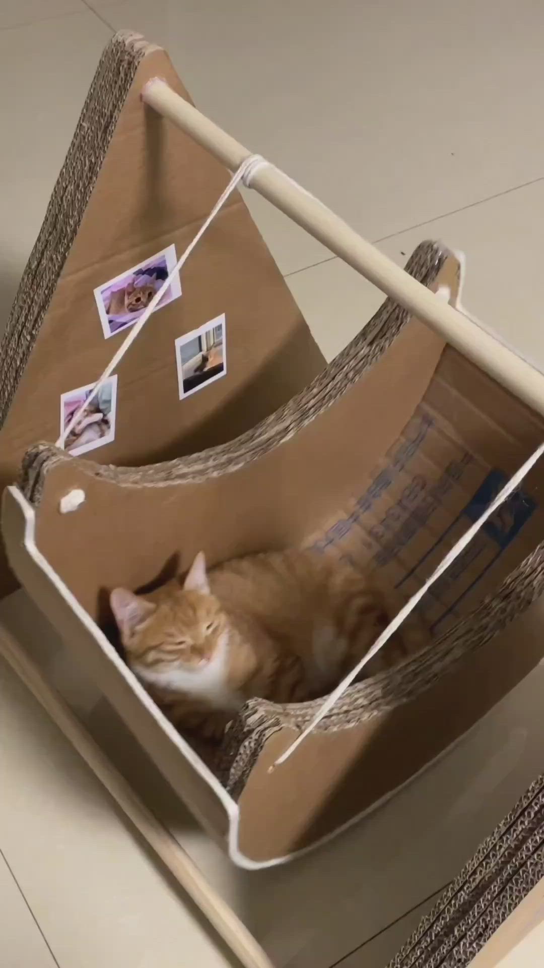 This may contain: an orange and white cat laying in a cardboard box