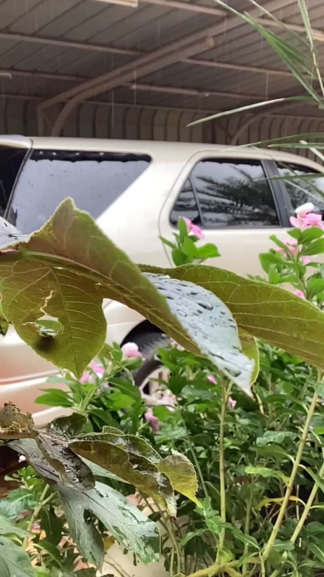 This may contain: a white car parked in front of a house next to some flowers and plants with rain drops on them