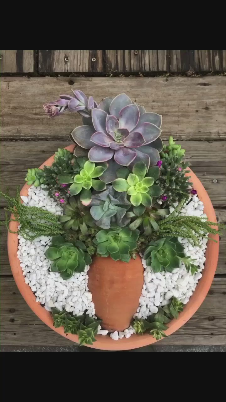 This may contain: an orange pot filled with lots of succulents