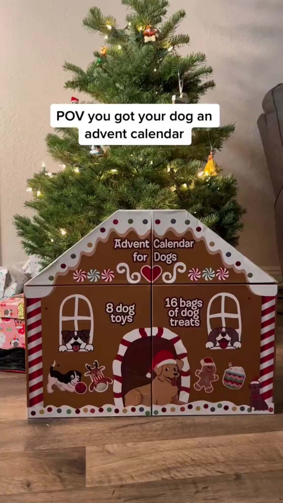 This may contain: a dog house made out of cardboard with the words pov you got your dog an adventure calendar