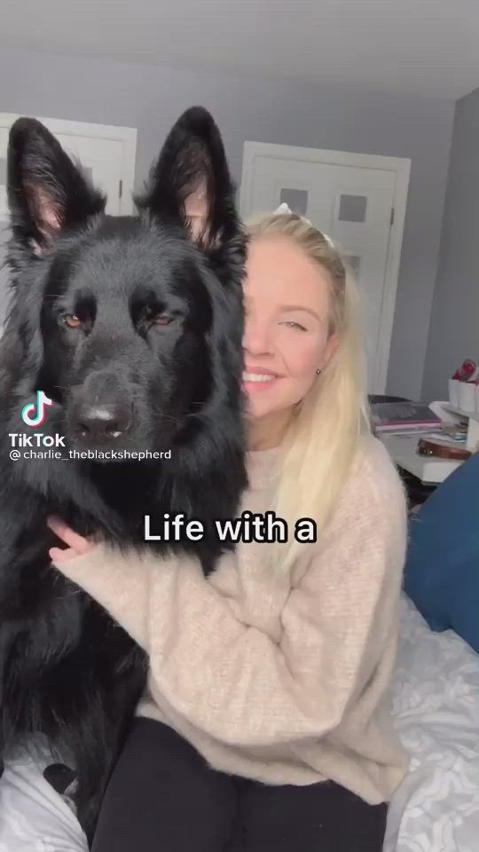 This may contain: a woman sitting on top of a bed holding a black dog in her lap with the caption life with a german shepherd