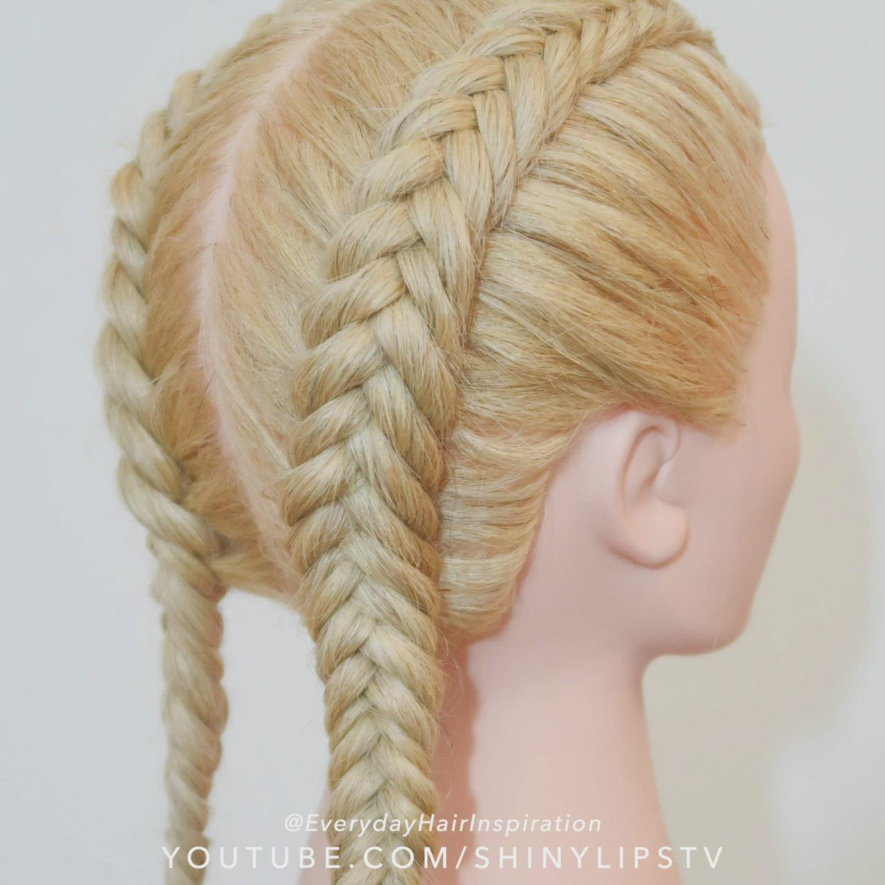 This contains an image of: Dutch Fishtail Braid