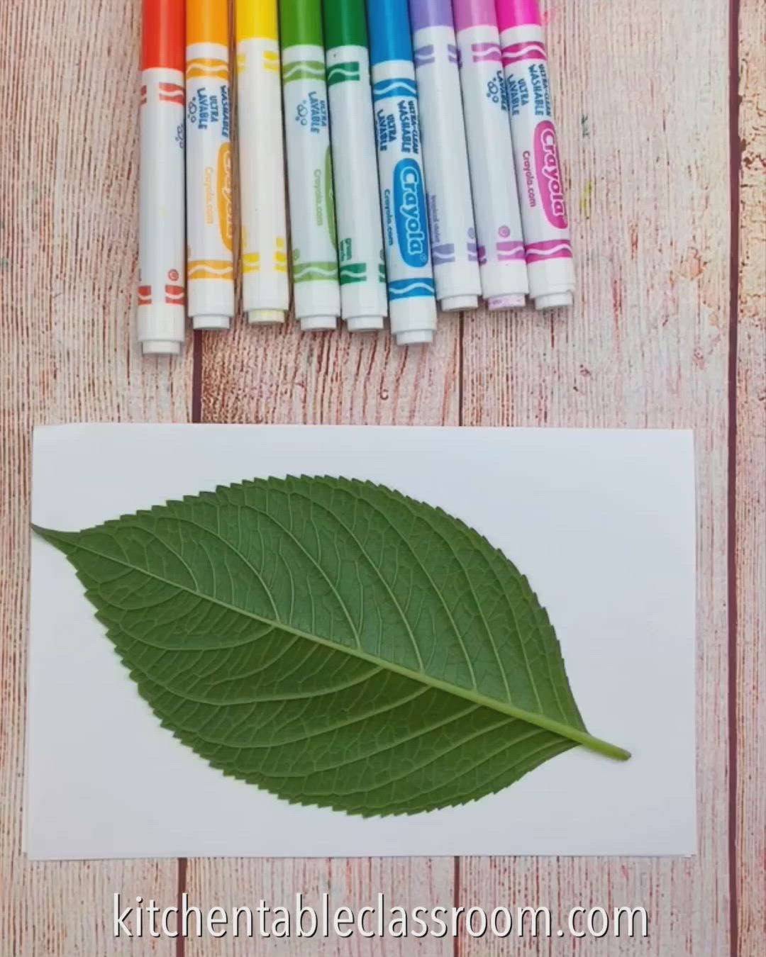 This may contain: colored crayon pencils next to an art project for kids with leaves on them