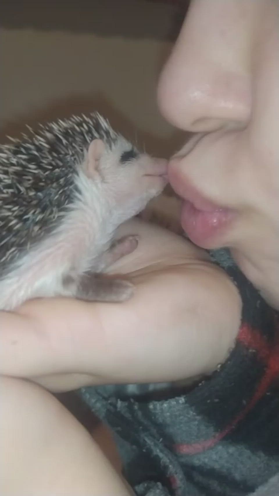 This may contain: a woman kissing a hedgehog on the nose