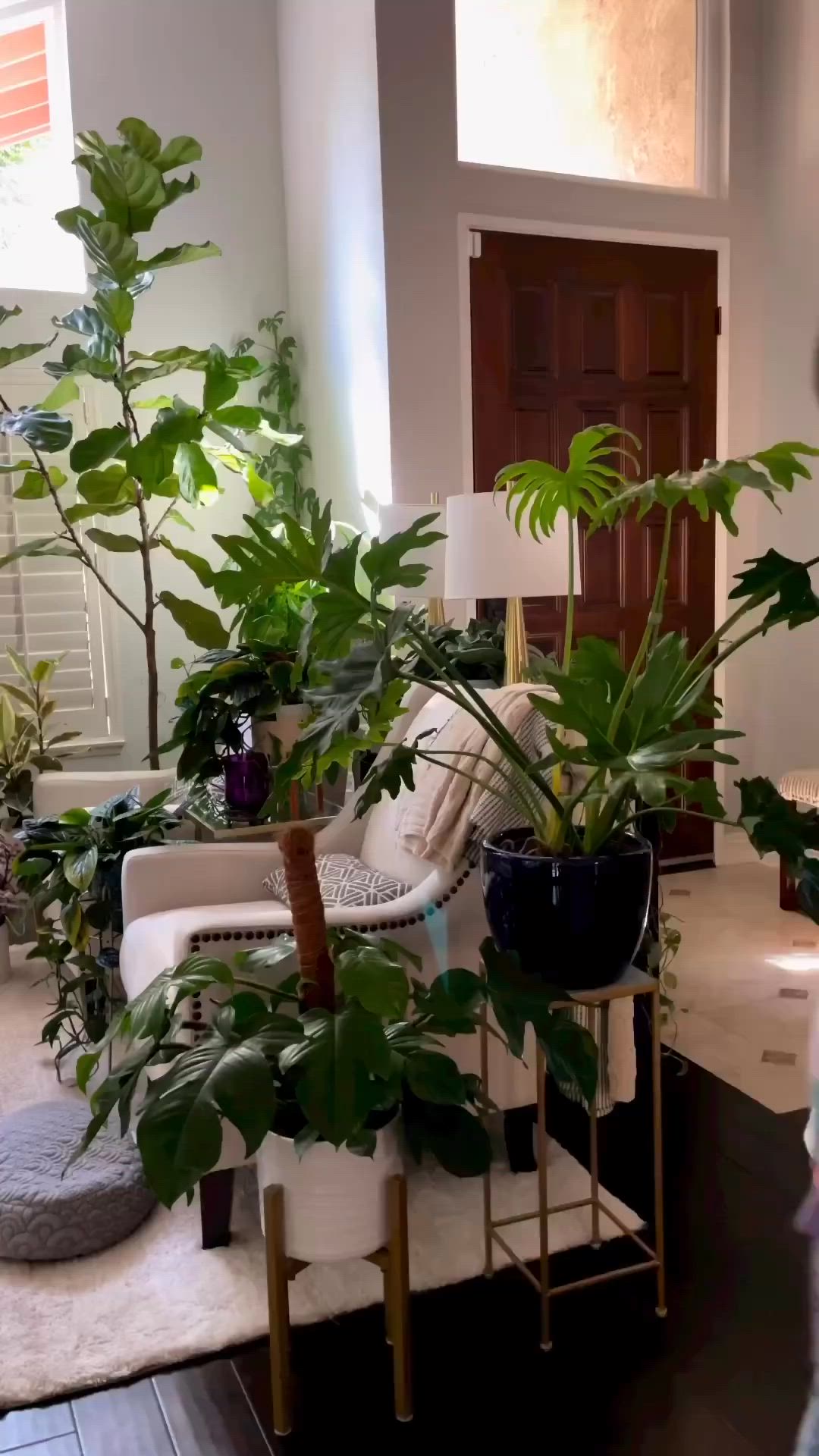 This may contain: a living room filled with lots of green plants