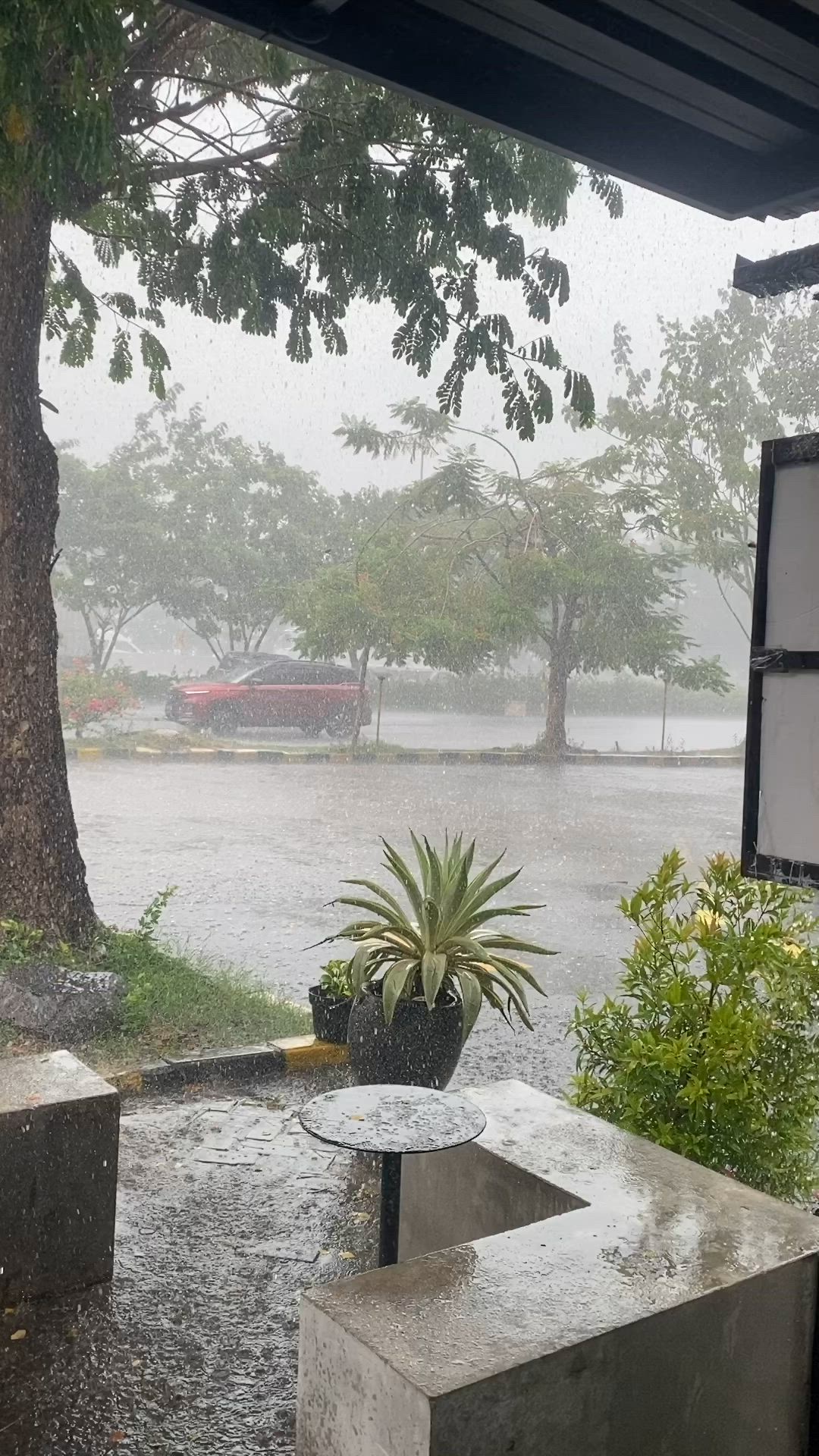 This may contain: an outdoor area with concrete benches and potted plants in the rain