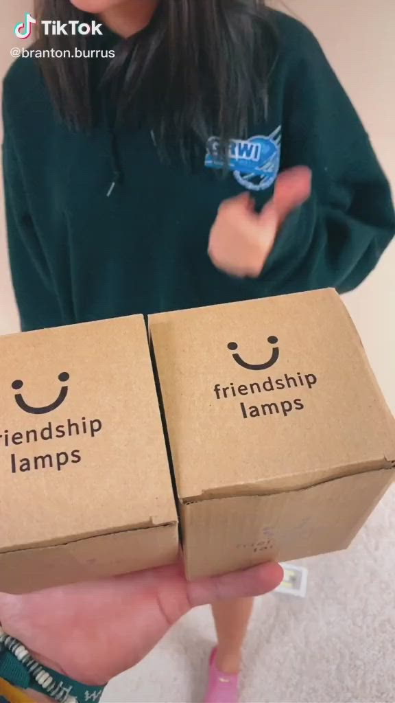 This may contain: two boxes that say, friendship lamps and have faces drawn on them with their hands