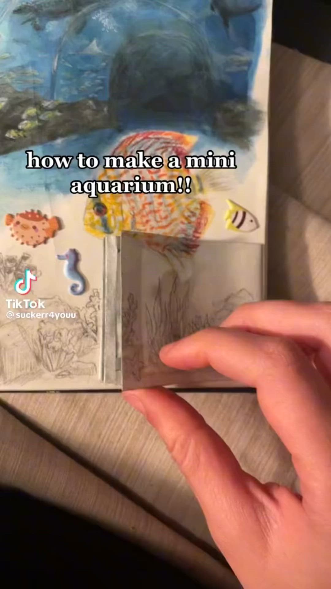 This may contain: someone is holding up an open book with pictures on it and the words how to make a mini aquarium?