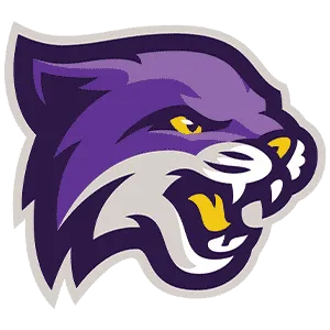 Bethel University Wildcats