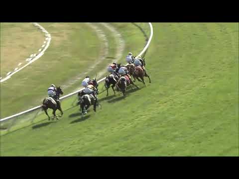 video thumbnail for MONMOUTH PARK 6-15-24 RACE 9 – THE EATONTOWN STAKES