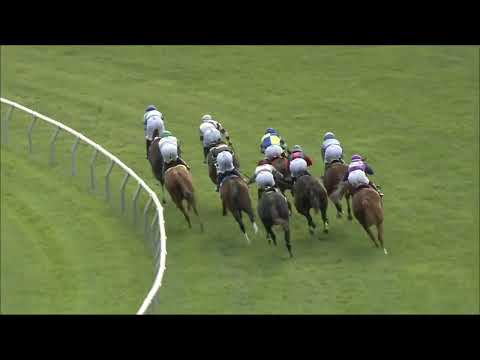 video thumbnail for MONMOUTH PARK 5-11-24 RACE 8