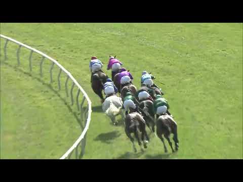 video thumbnail for MONMOUTH PARK 6-26-24 RACE 8