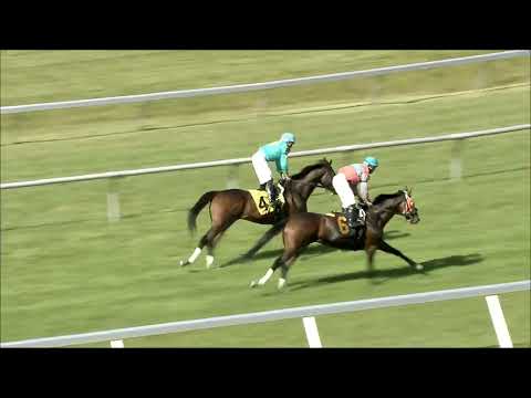 video thumbnail for MONMOUTH PARK 6-9-24 RACE 9