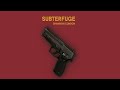 Subterfuge