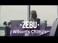 Zebu - Wilson's Chimps #ebook #trailer