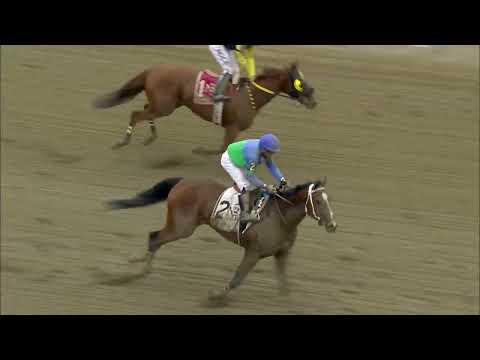 video thumbnail for MONMOUTH PARK 5-18-24 RACE 1