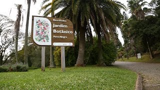 Reportagem sobre o aniversário de 61 anos do Jardim Botânico