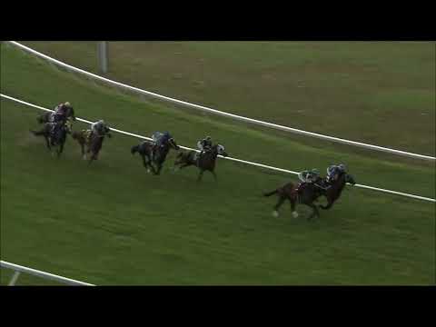 video thumbnail for MONMOUTH PARK 7-13-24 RACE 1