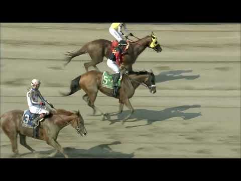 video thumbnail for MONMOUTH PARK 7-6-24 RACE 8