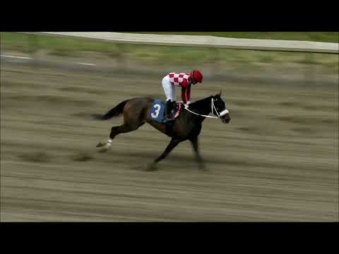 video thumbnail for MONMOUTH PARK 6-15-24 RACE 4