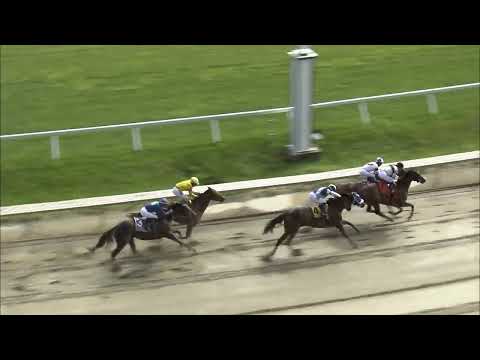 video thumbnail for MONMOUTH PARK 5-12-24 RACE 8 – SERENAS SONG STAKES