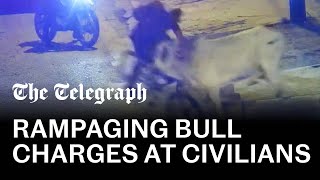 video: Watch: Escaped bull head-butts people in streets of Peru